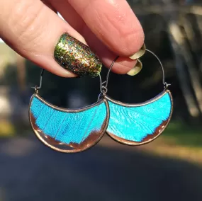 Blue Butterfly Wing Hoop Earrings