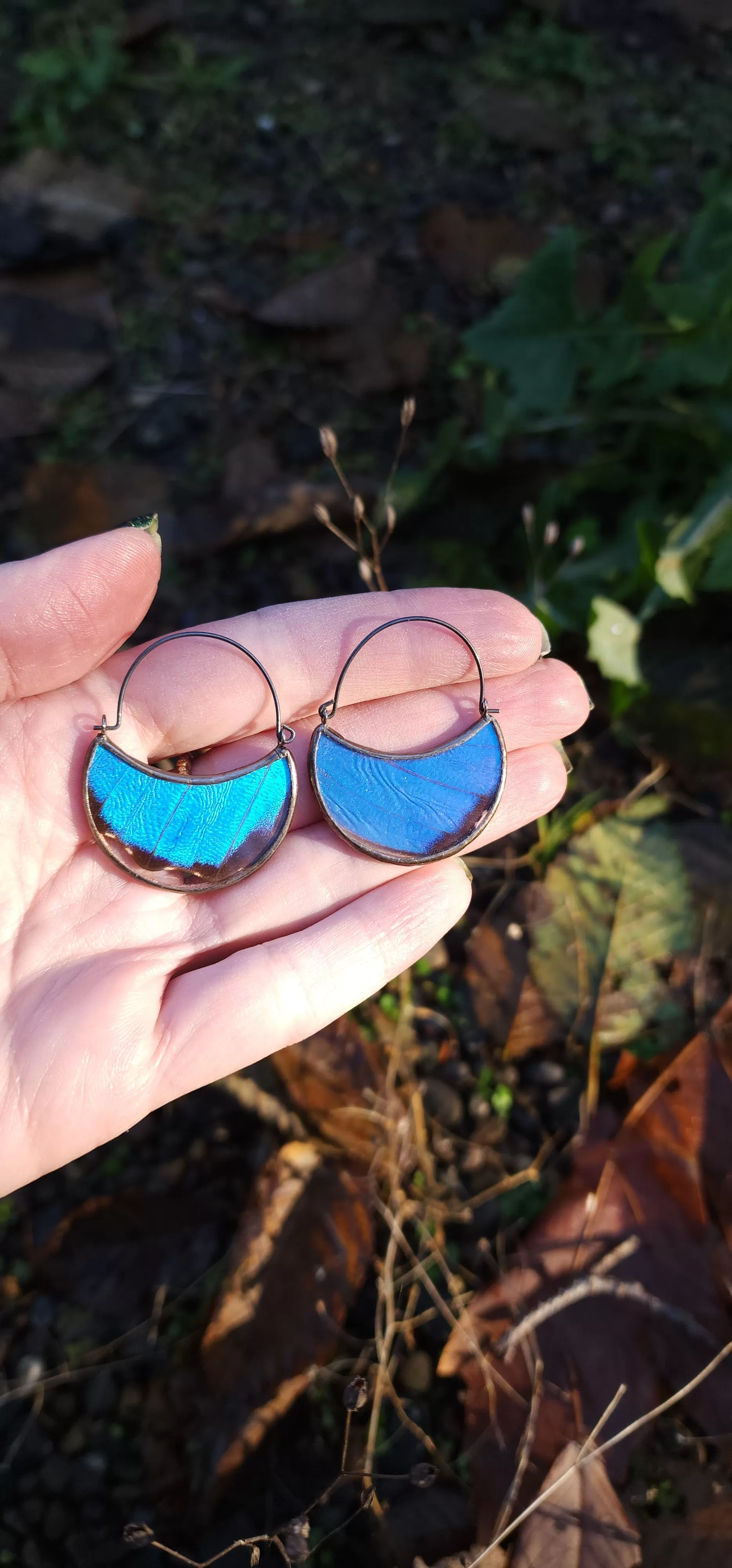 Blue Butterfly Wing Hoop Earrings