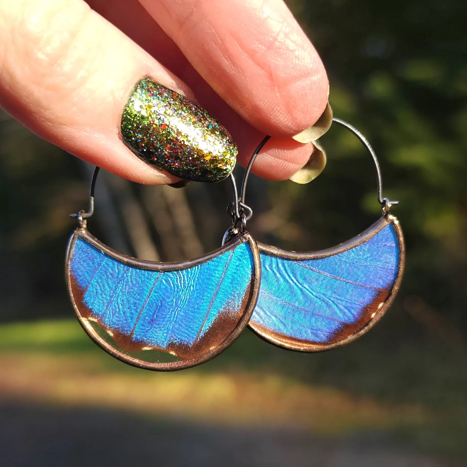 Blue Butterfly Wing Hoop Earrings