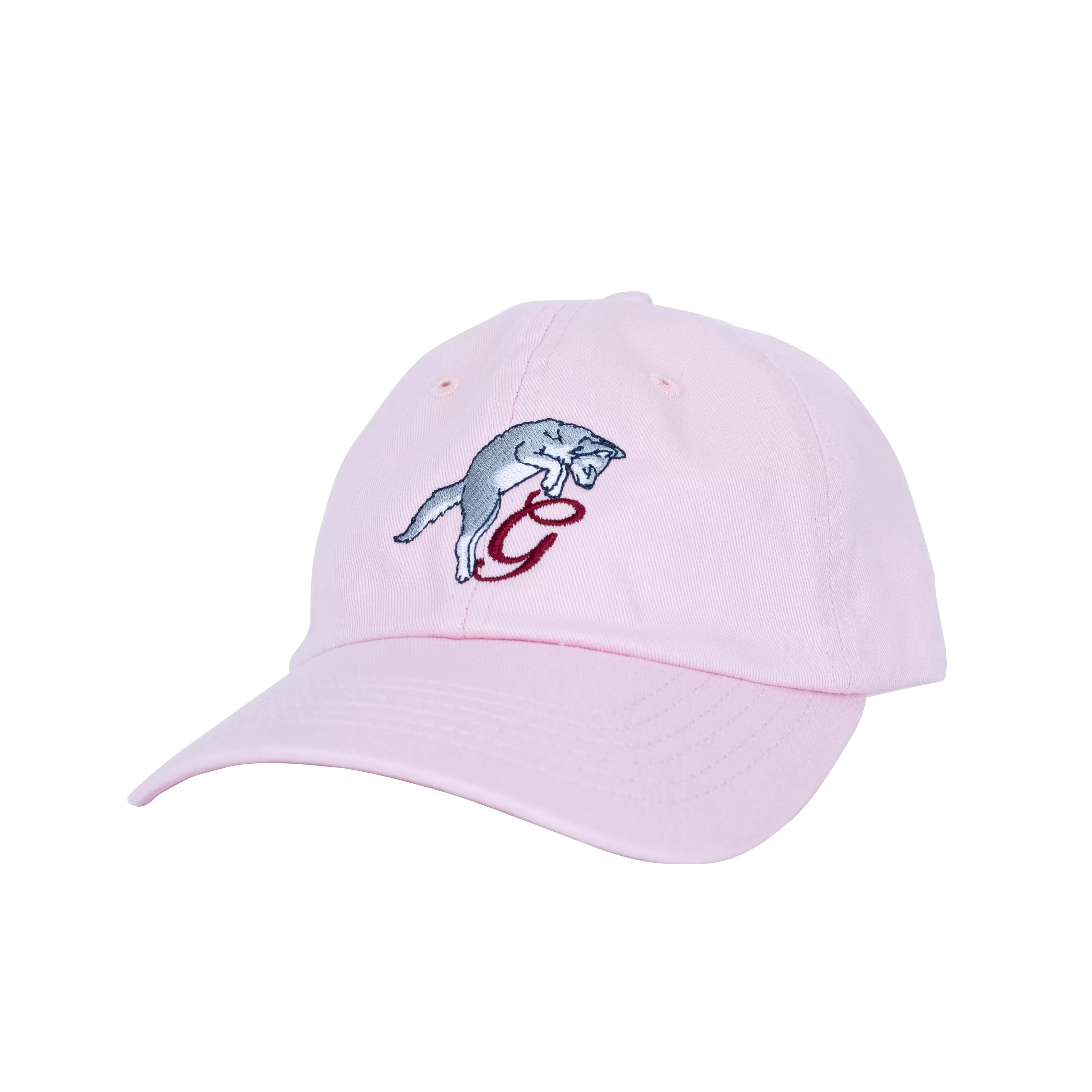 Youth Pounce G Hat